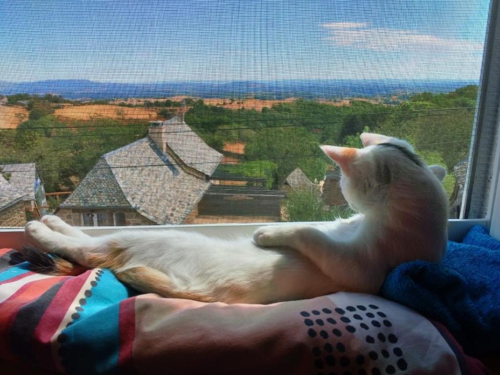 Golinhac Lo Soulenquo A Fonteilles Sur Le Gr 65 B&B 외부 사진